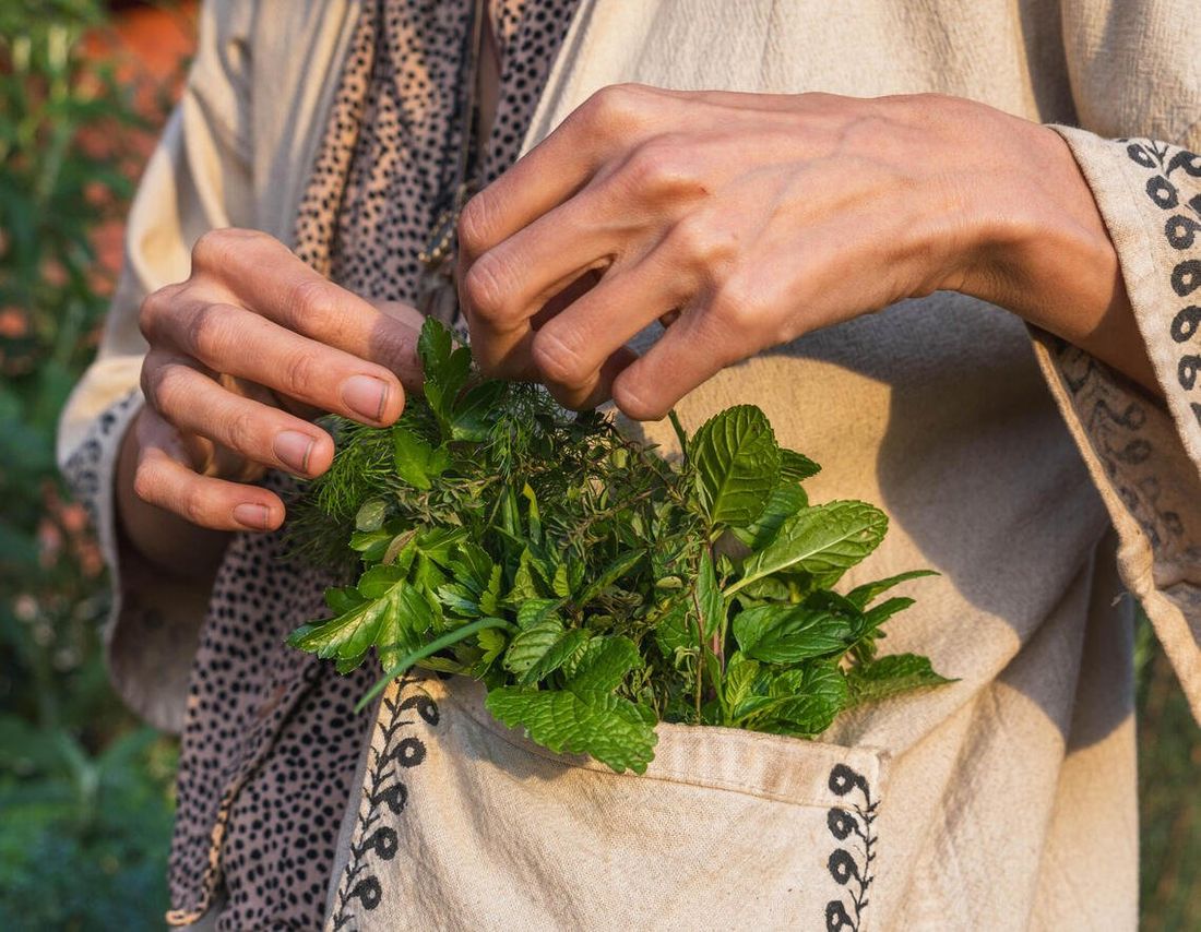 Hands gathering fresh herbs into an apron pocket