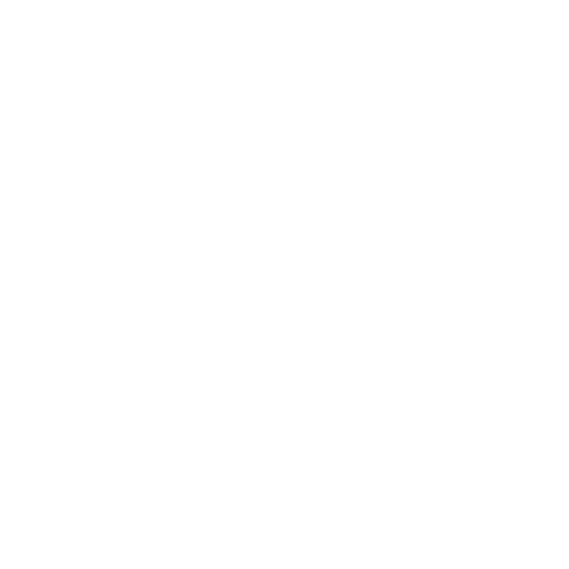 A Corujeira owl